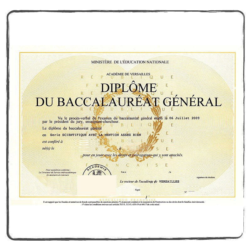 Diplomat Transaltion Lebanon